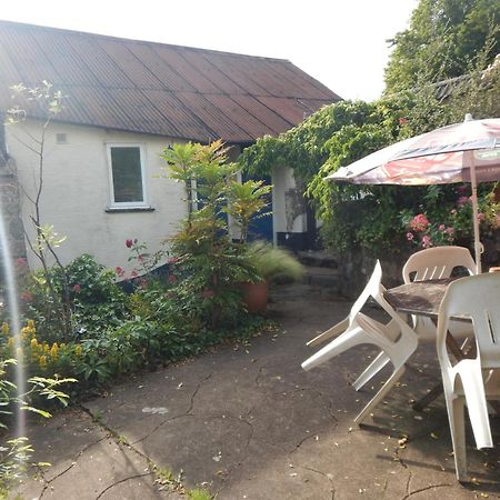 The Royal Oak Inn Dunsford 外观 照片