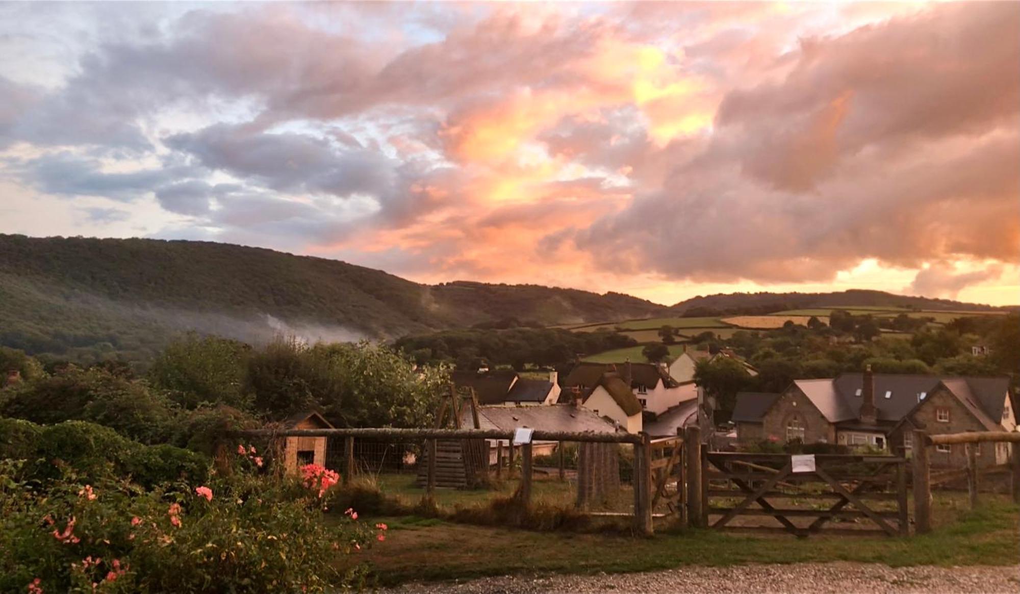 The Royal Oak Inn Dunsford 外观 照片