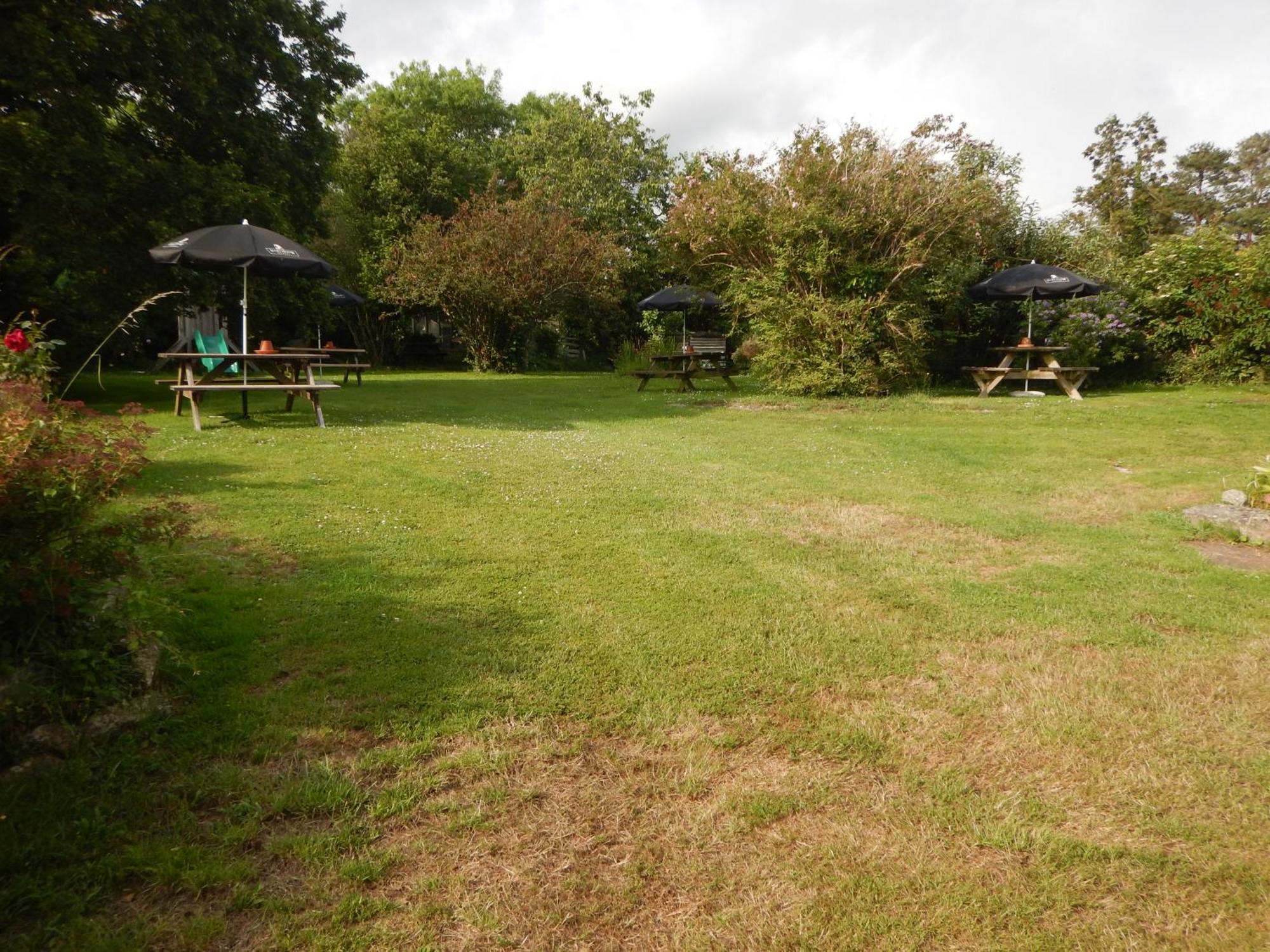 The Royal Oak Inn Dunsford 外观 照片